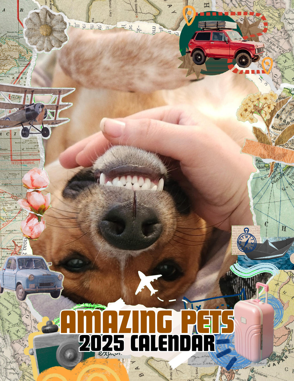 Amazing Pets: 2025 Wall Calendar (Pre-Order)