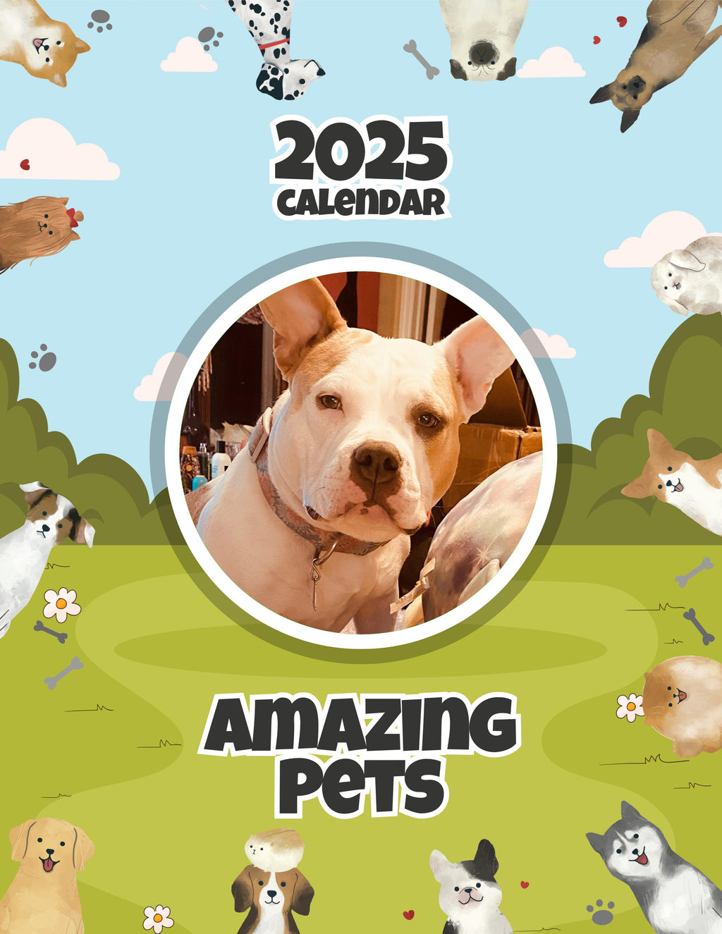 Amazing Pets: 2025 Wall Calendar (Pre-Order)