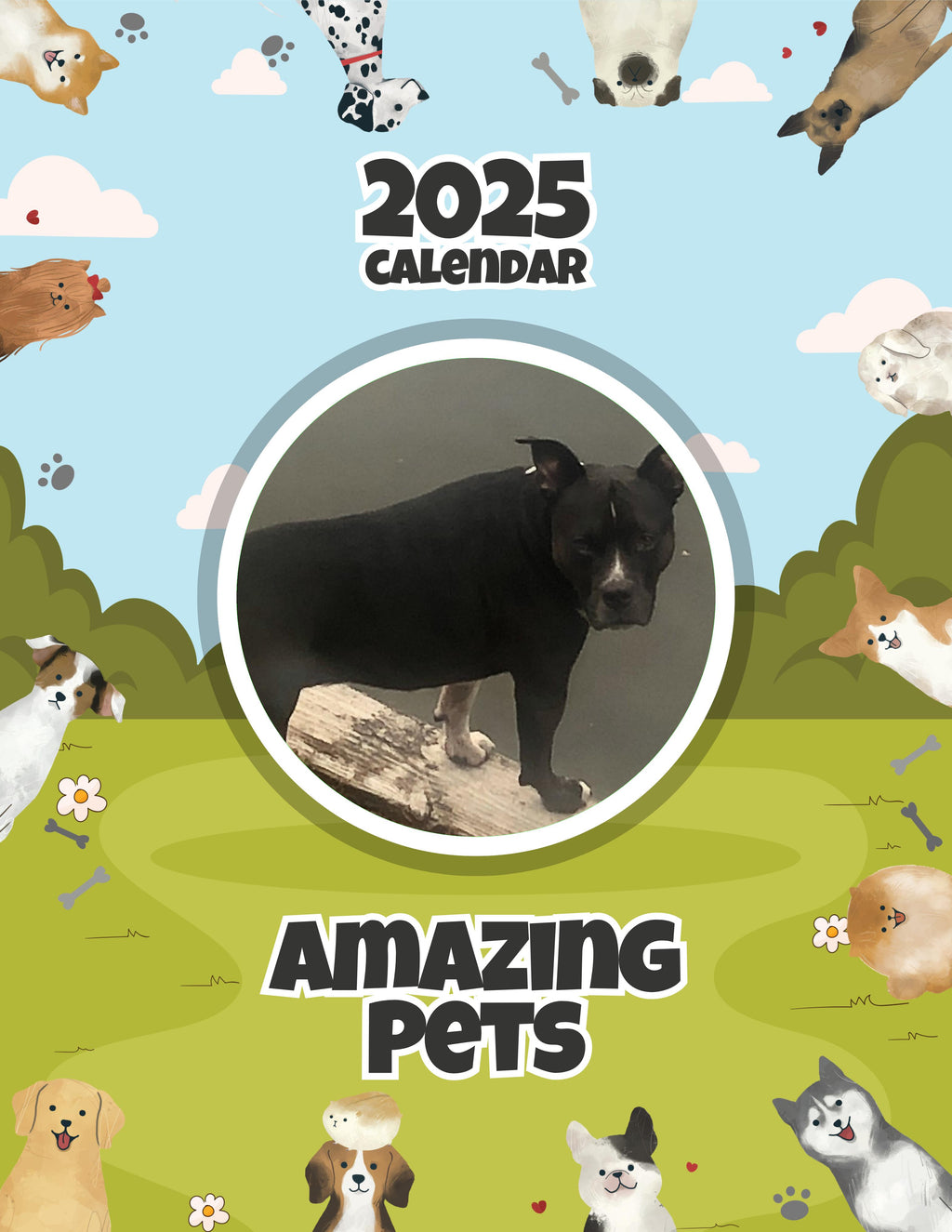 Amazing Pets: 2025 Wall Calendar (Pre-Order)