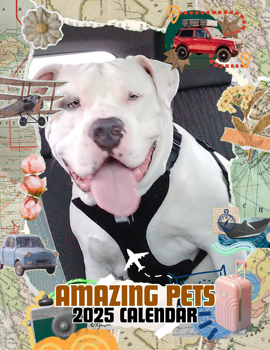 Amazing Pets: 2025 Wall Calendar (Pre-Order)