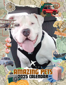 Amazing Pets: 2025 Wall Calendar (Pre-Order)
