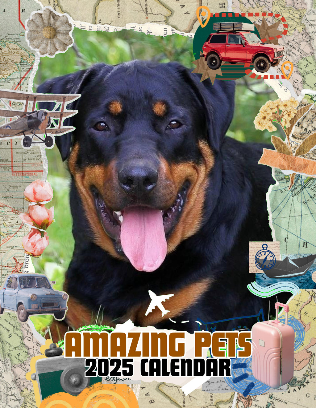 Amazing Pets: 2025 Wall Calendar (Pre-Order)