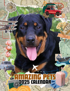 Amazing Pets: 2025 Wall Calendar (Pre-Order)