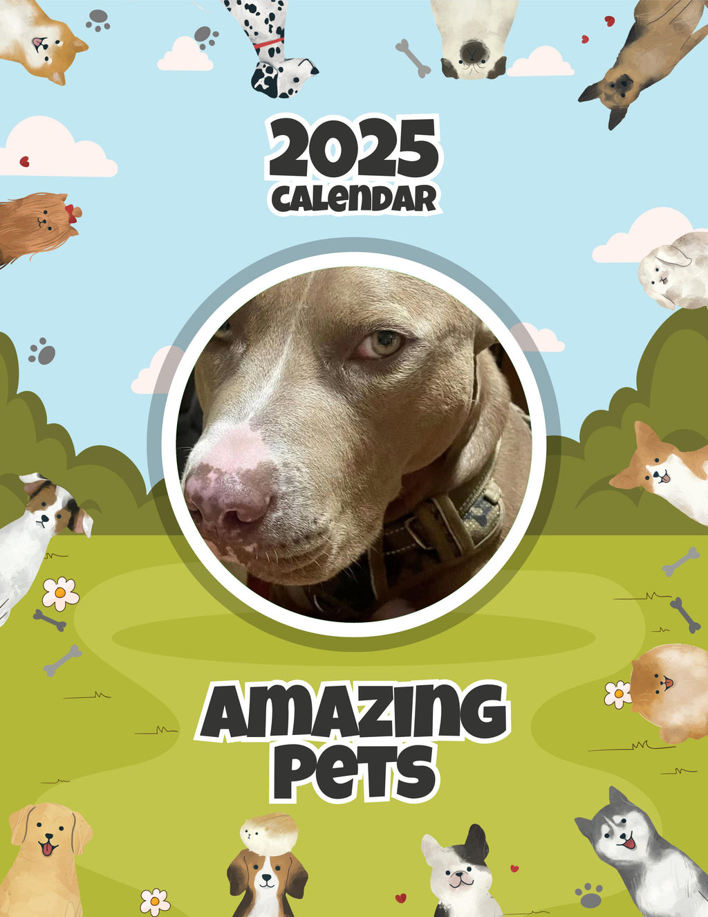 Amazing Pets: 2025 Wall Calendar (Pre-Order)