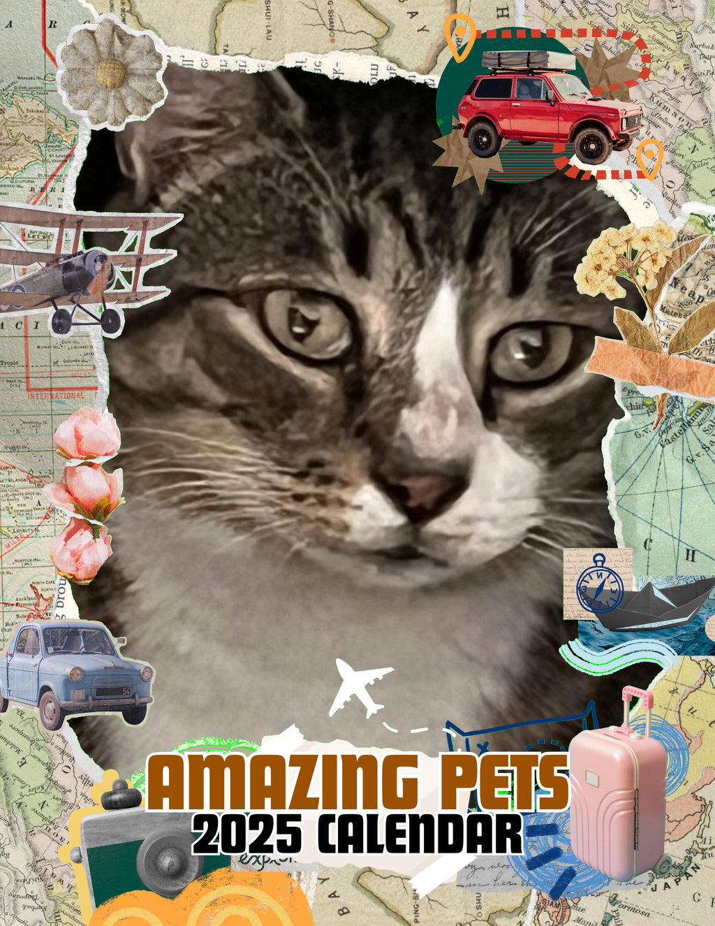 Amazing Pets: 2025 Wall Calendar (Pre-Order)