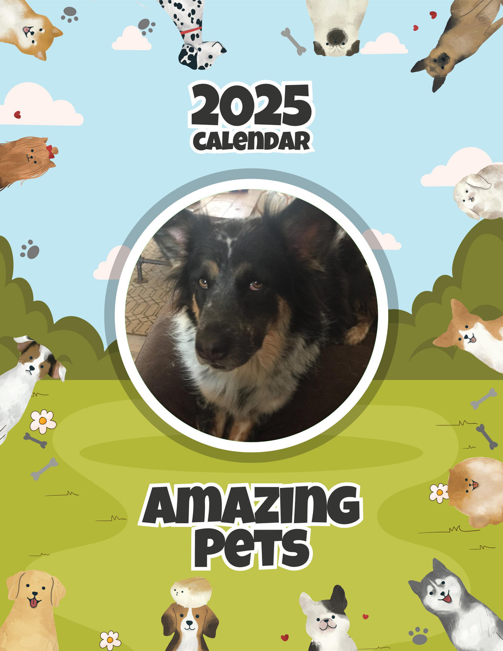 Amazing Pets: 2025 Wall Calendar (Pre-Order)