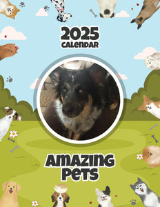 Amazing Pets: 2025 Wall Calendar (Pre-Order)