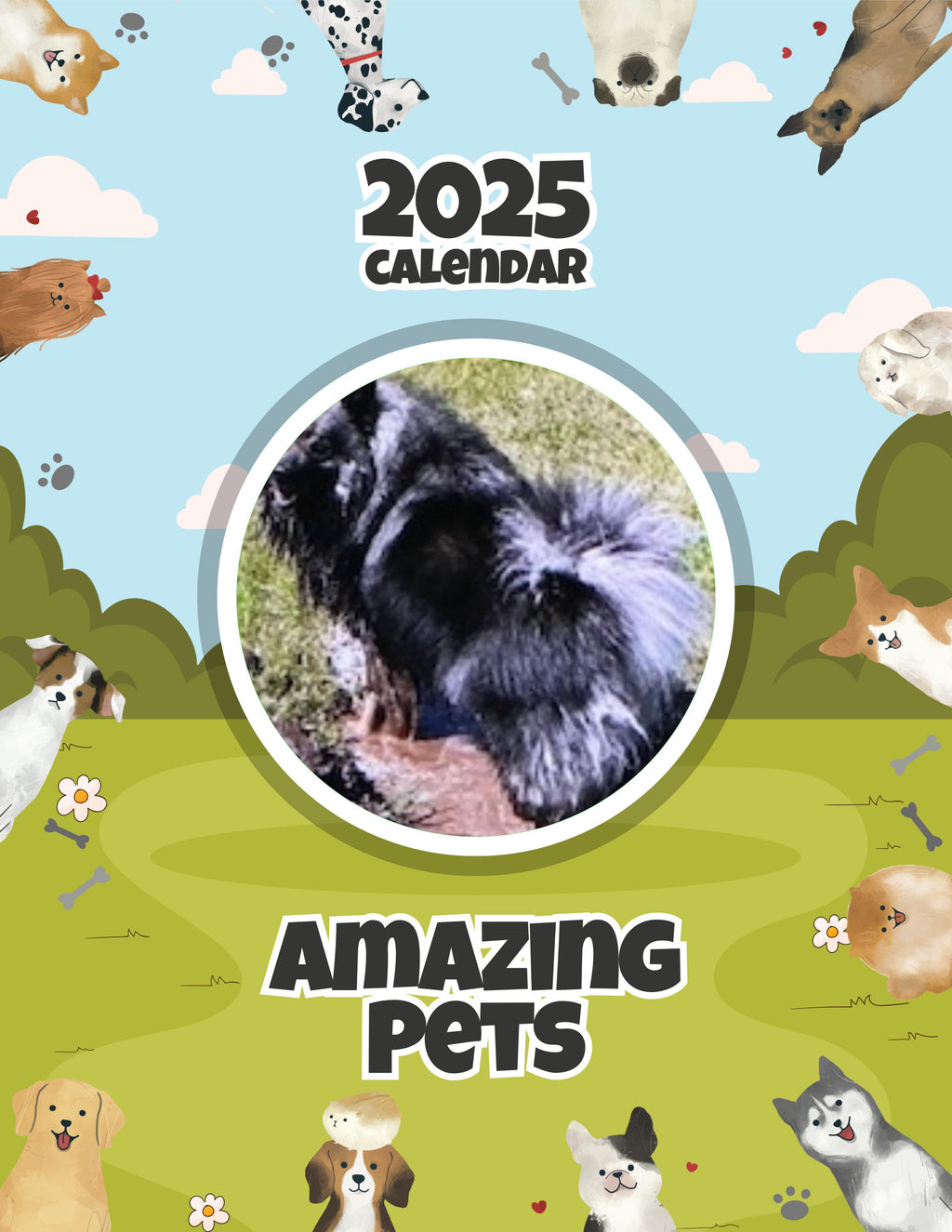 Amazing Pets: 2025 Wall Calendar (Pre-Order)