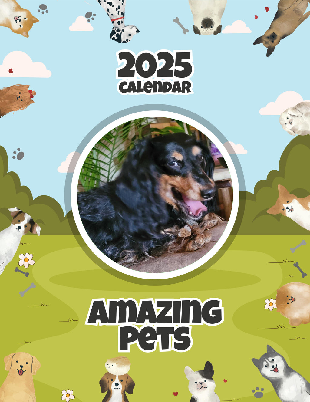 Amazing Pets: 2025 Wall Calendar (Pre-Order)