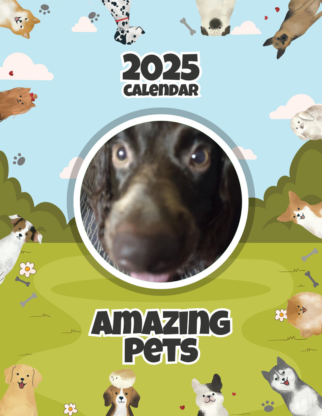 Amazing Pets: 2025 Wall Calendar (Pre-Order)