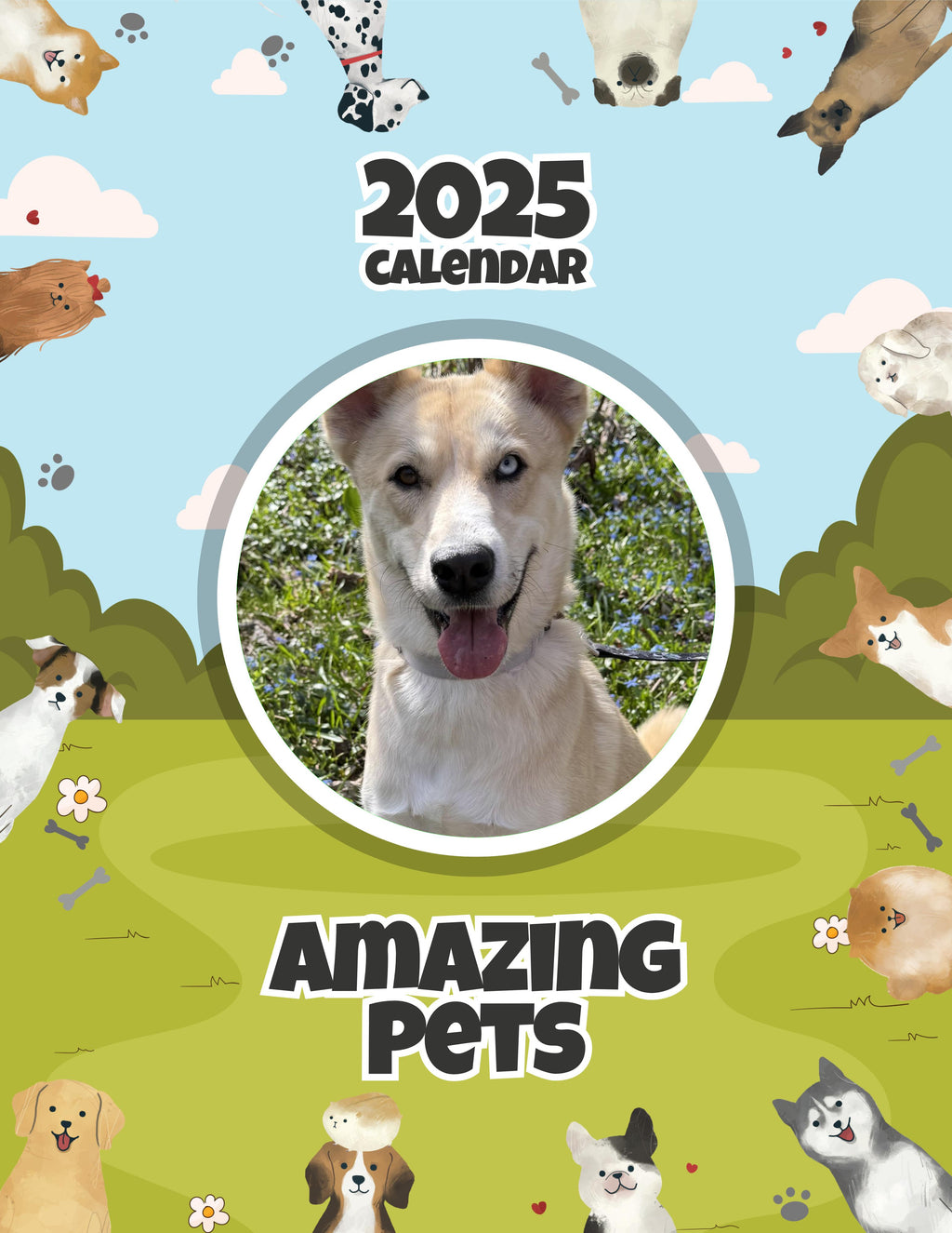 Amazing Pets: 2025 Wall Calendar (Pre-Order)
