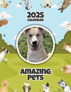 Amazing Pets: 2025 Wall Calendar (Pre-Order)
