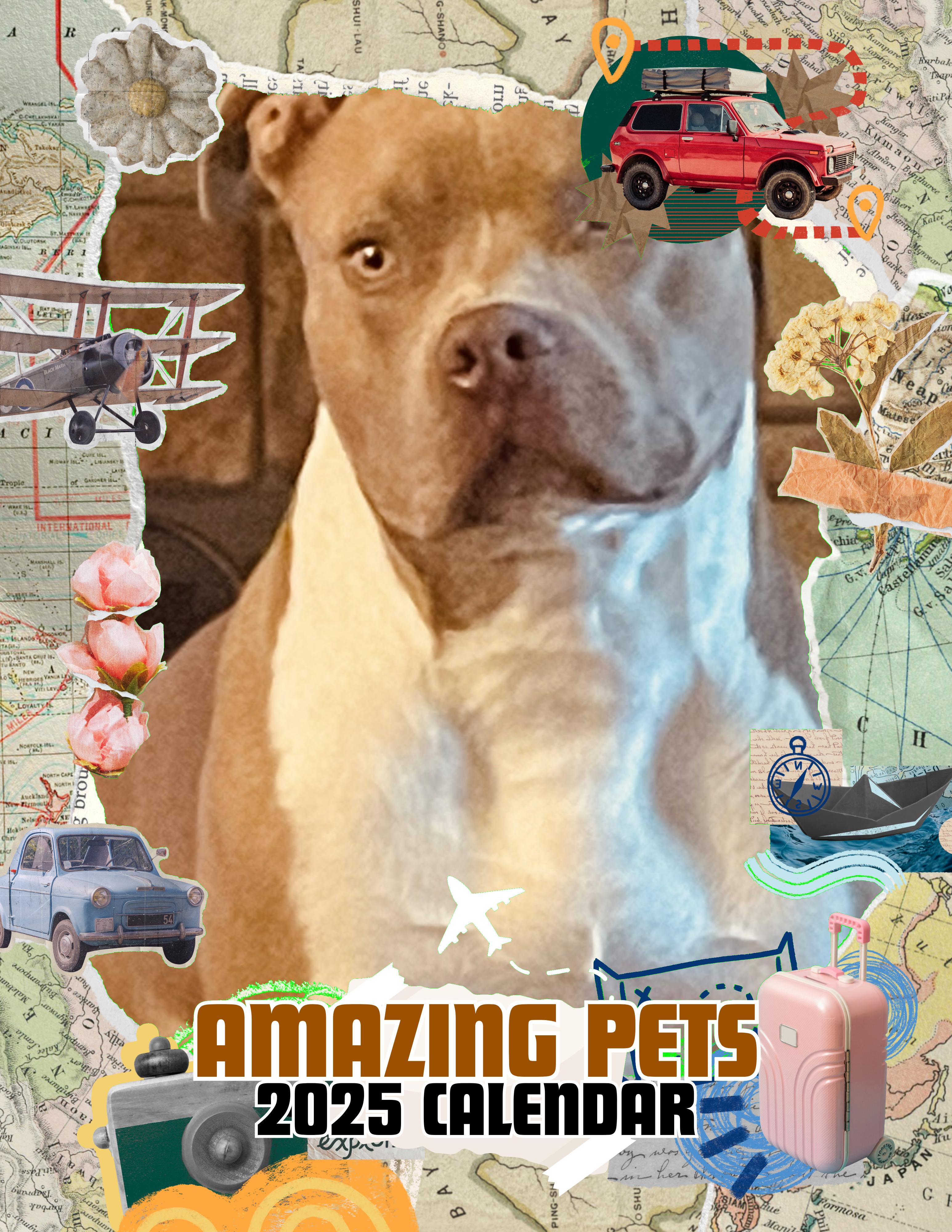 Amazing Pets: 2025 Wall Calendar (Pre-Order)