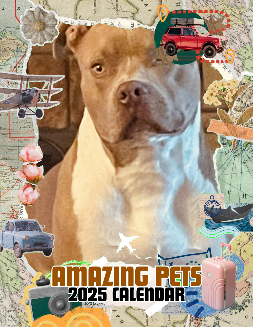 Amazing Pets: 2025 Wall Calendar (Pre-Order)