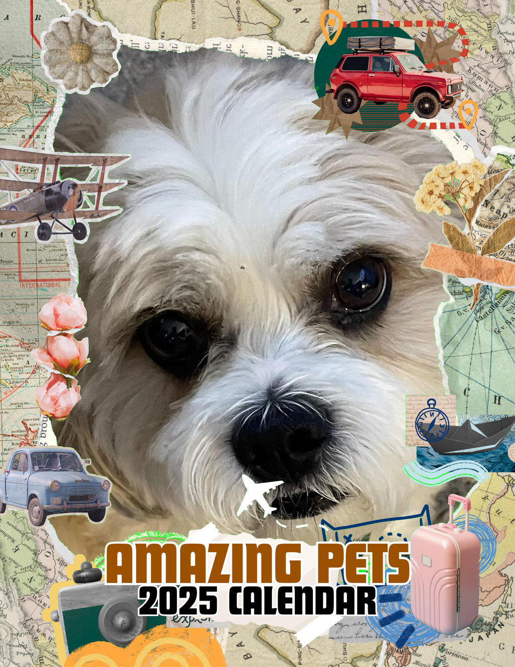 Amazing Pets: 2025 Wall Calendar (Pre-Order)