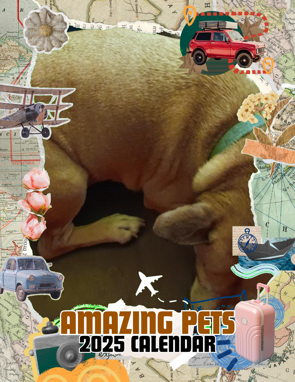 Amazing Pets: 2025 Wall Calendar (Pre-Order)