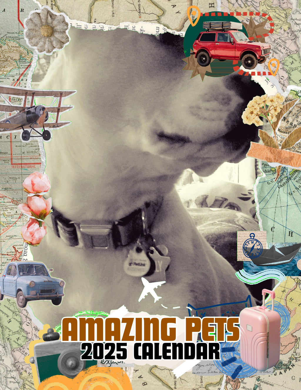 Amazing Pets: 2025 Wall Calendar (Pre-Order)