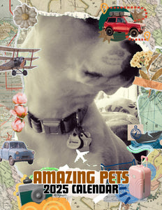 Amazing Pets: 2025 Wall Calendar (Pre-Order)
