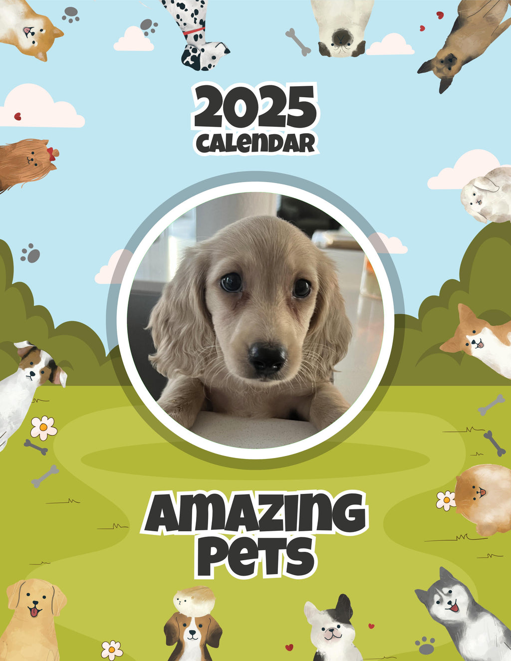 Amazing Pets: 2025 Wall Calendar (Pre-Order)