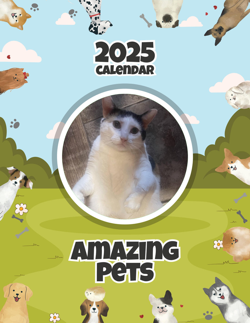 Amazing Pets: 2025 Wall Calendar (Pre-Order)