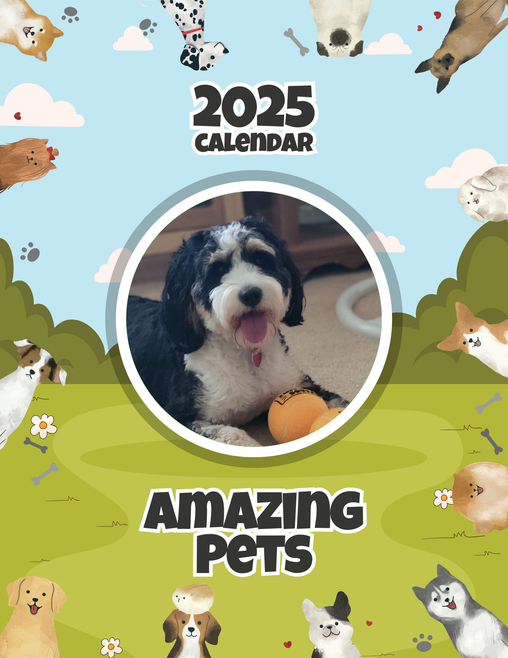Amazing Pets: 2025 Wall Calendar (Pre-Order)