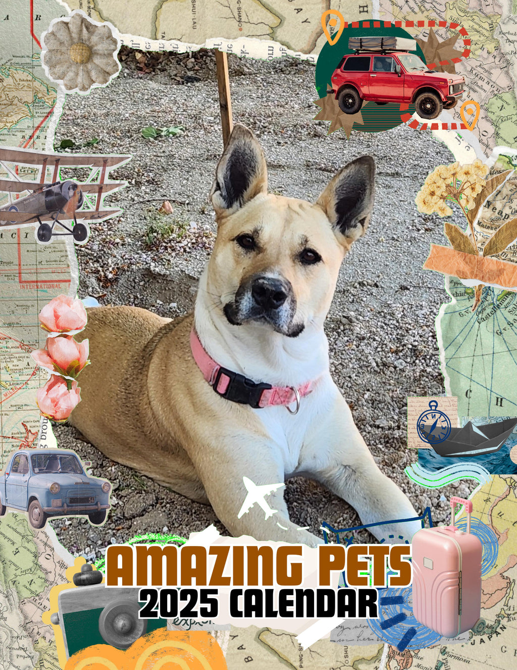 Amazing Pets: 2025 Wall Calendar (Pre-Order)
