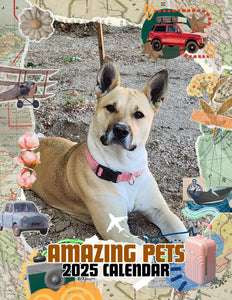 Amazing Pets: 2025 Wall Calendar (Pre-Order)