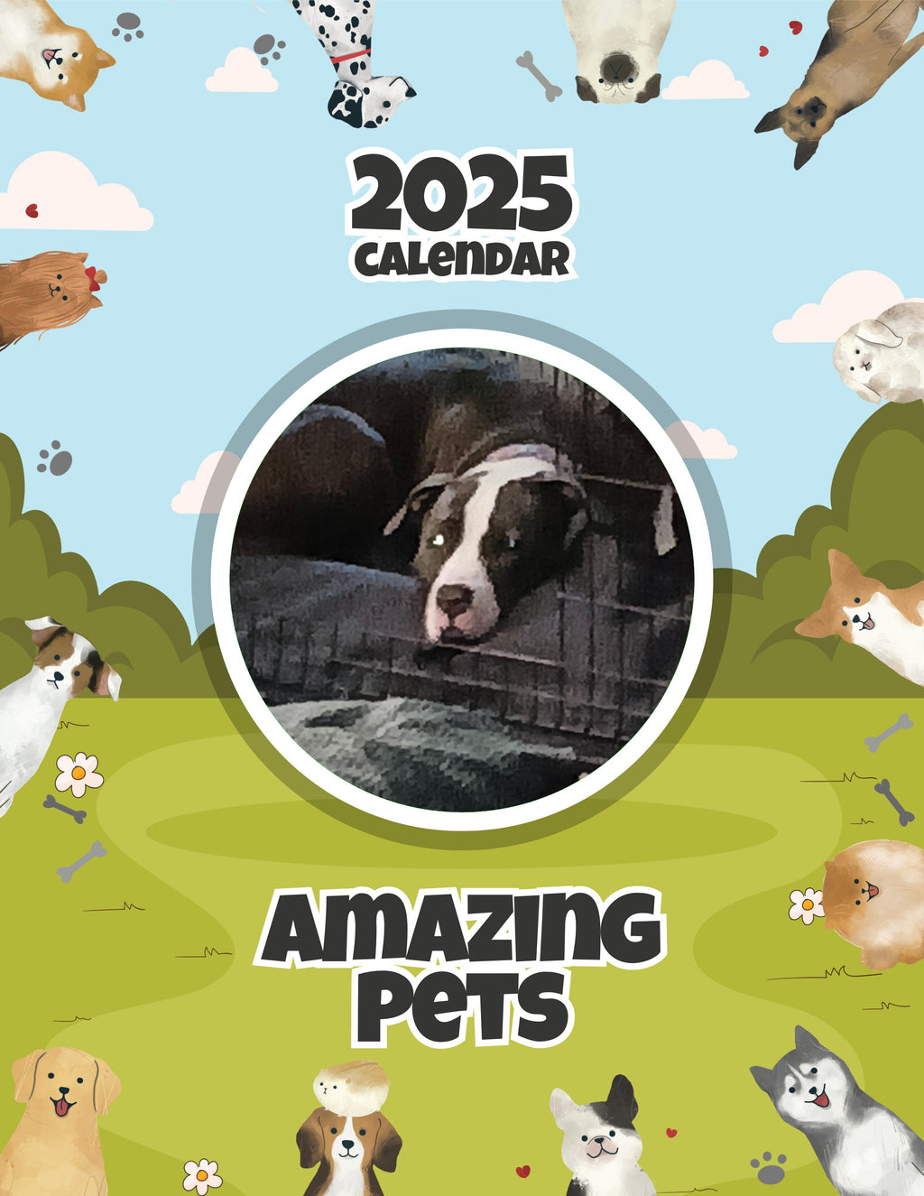 Amazing Pets: 2025 Wall Calendar (Pre-Order)