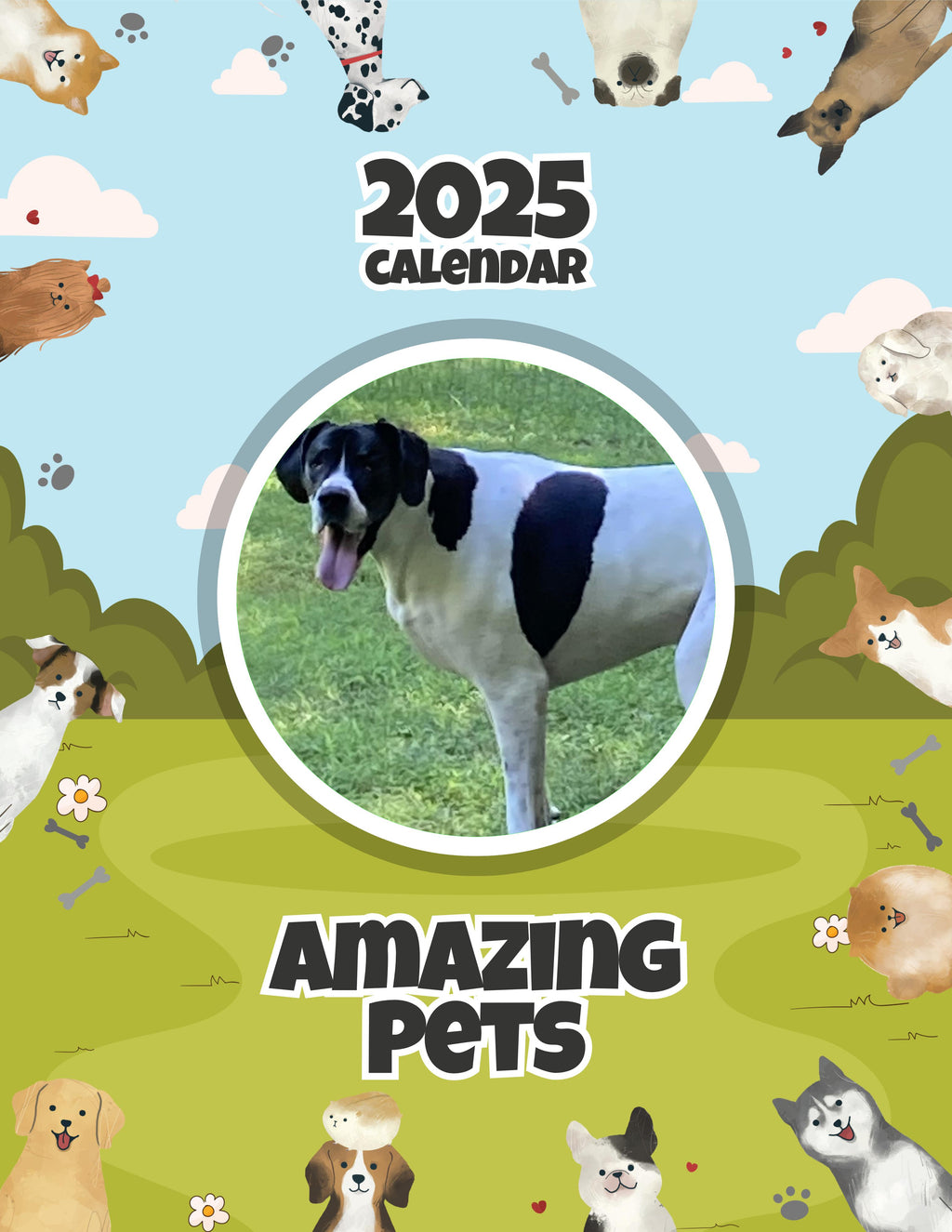 Amazing Pets: 2025 Wall Calendar (Pre-Order)