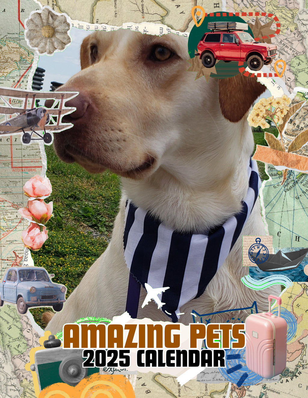 Amazing Pets: 2025 Wall Calendar (Pre-Order)