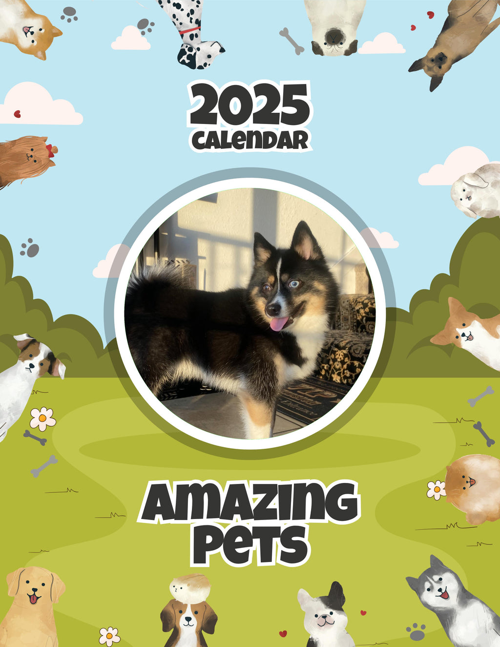 Amazing Pets: 2025 Wall Calendar (Pre-Order)