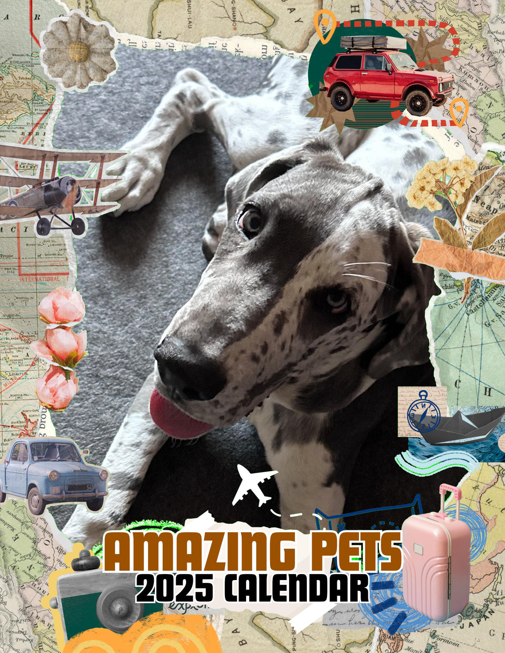 Amazing Pets: 2025 Wall Calendar (Pre-Order)