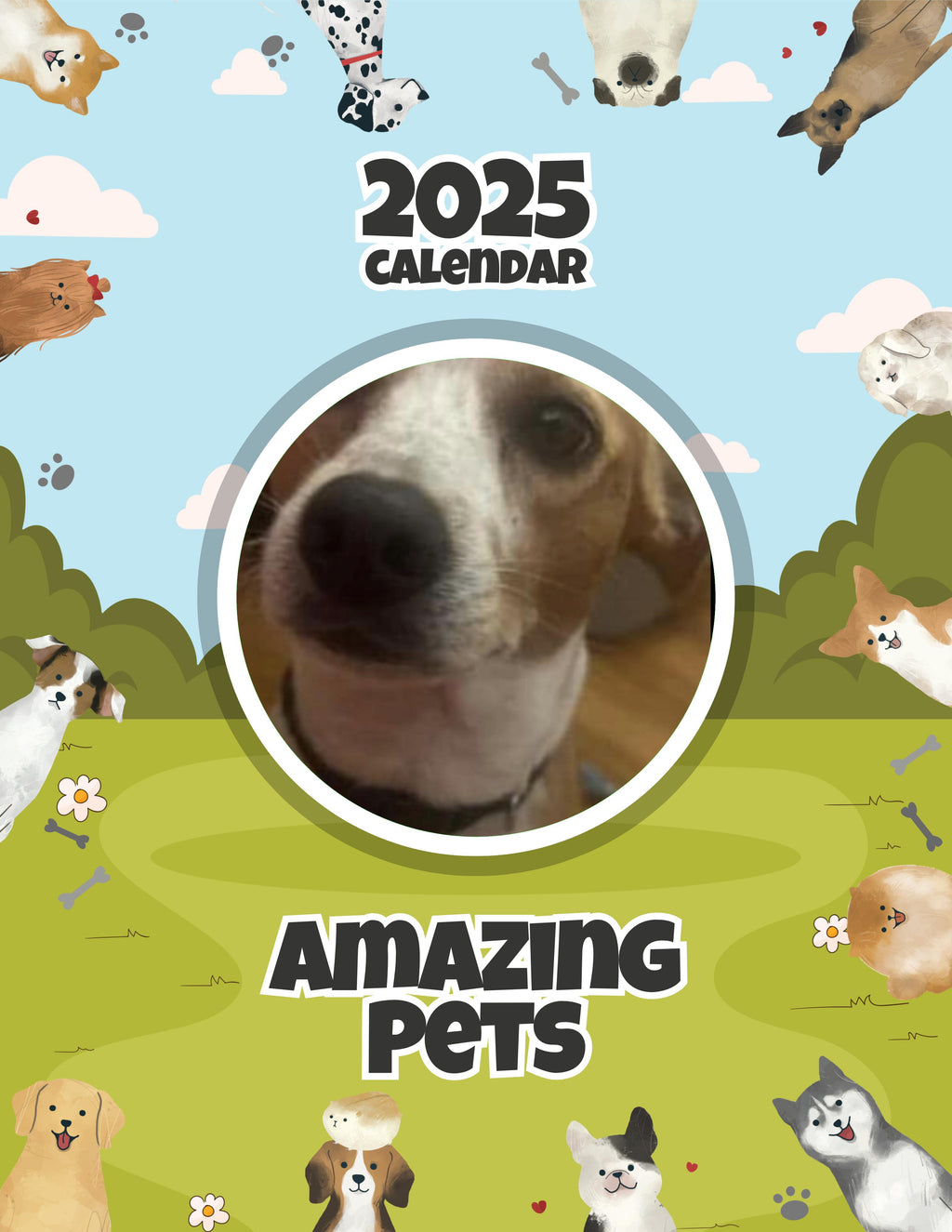 Amazing Pets: 2025 Wall Calendar (Pre-Order)
