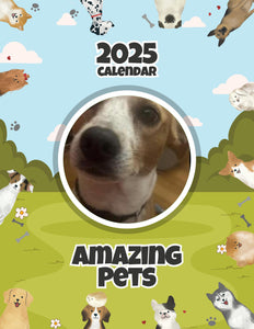 Amazing Pets: 2025 Wall Calendar (Pre-Order)