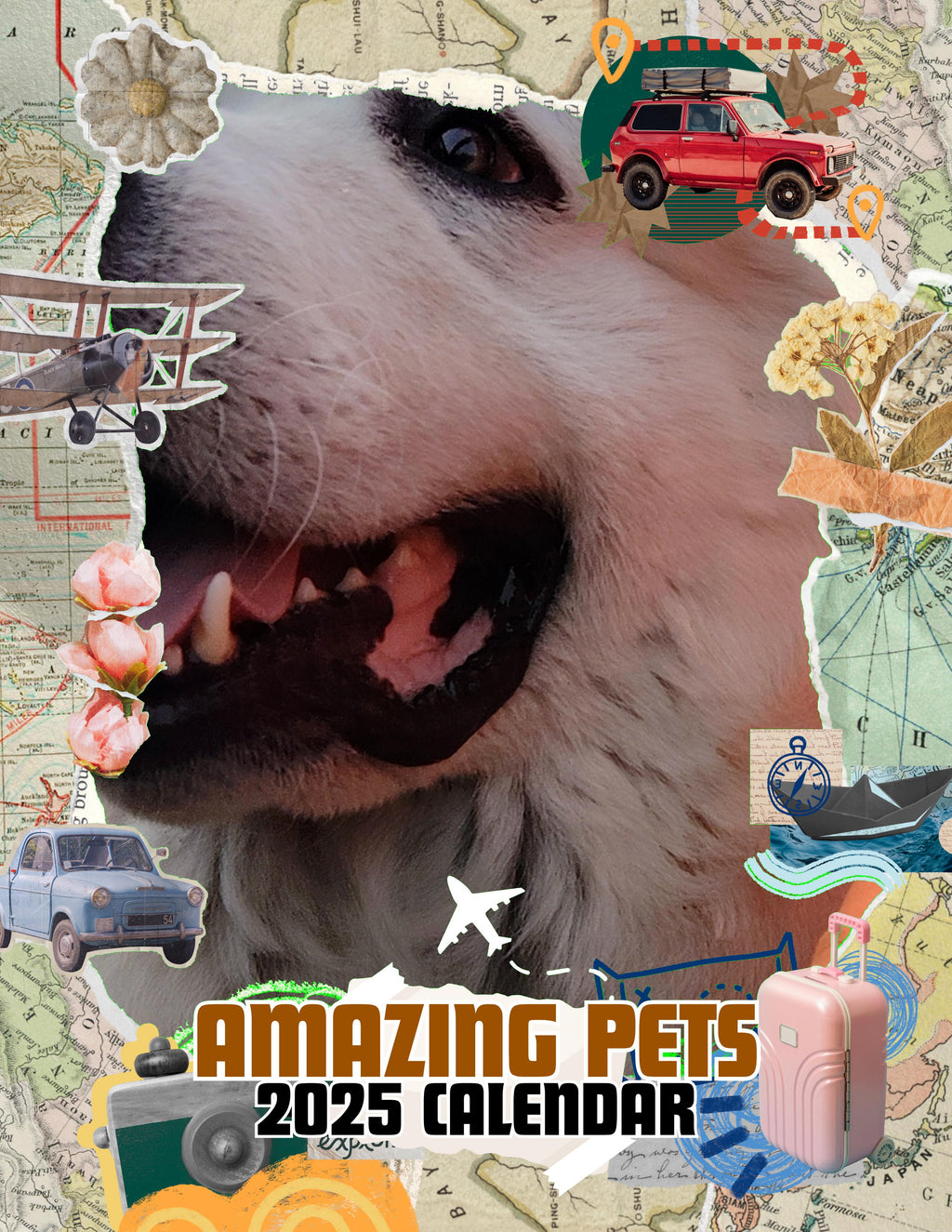Amazing Pets: 2025 Wall Calendar (Pre-Order)