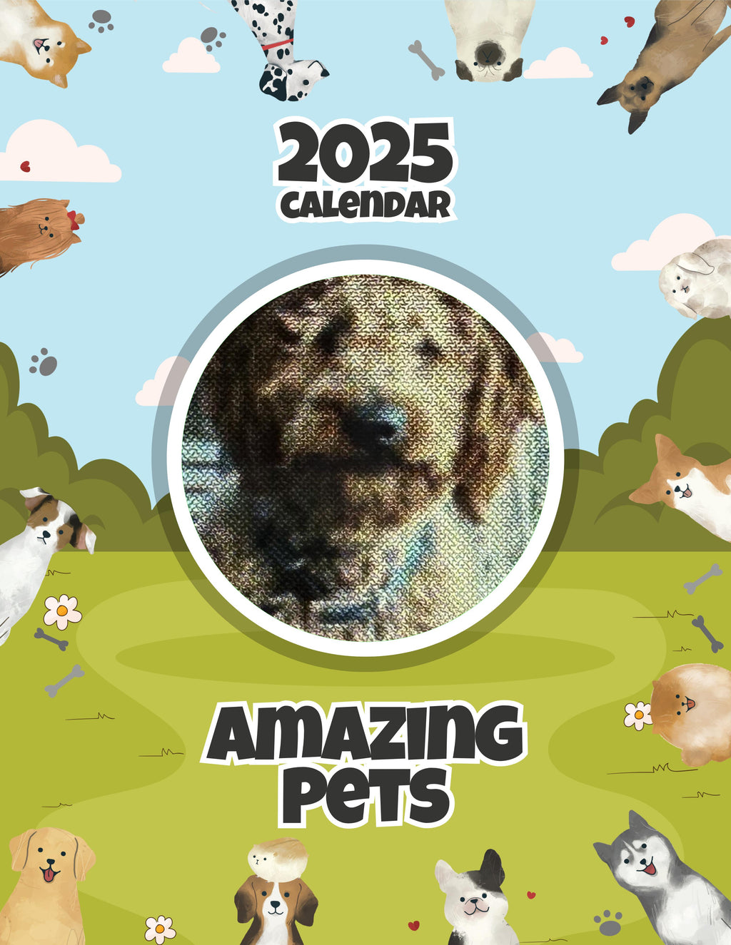 Amazing Pets: 2025 Wall Calendar (Pre-Order)