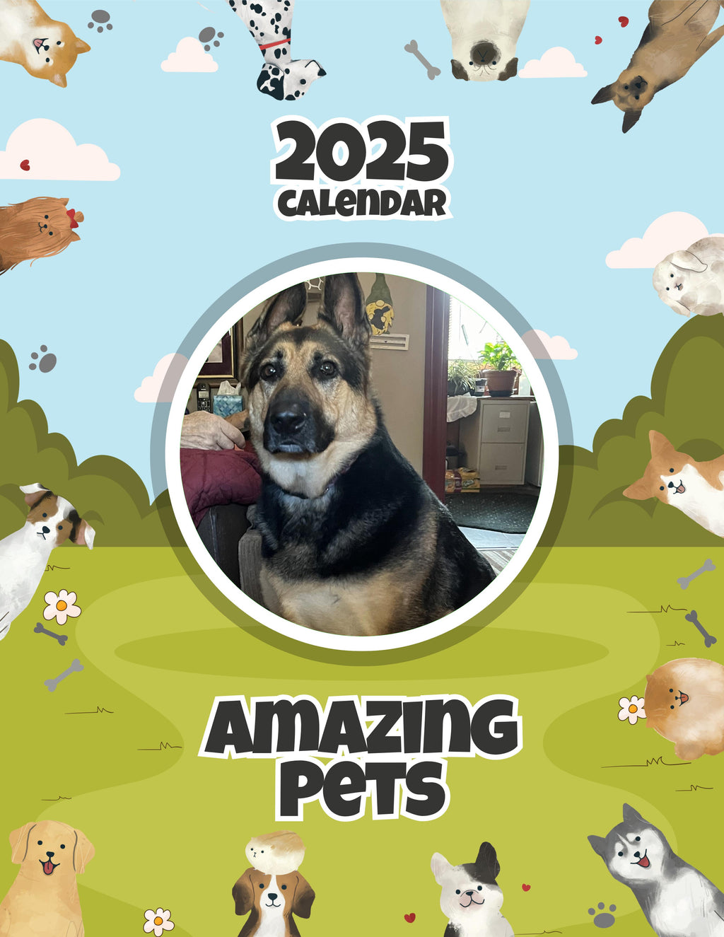 Amazing Pets: 2025 Wall Calendar (Pre-Order)