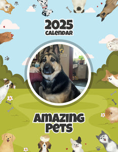 Amazing Pets: 2025 Wall Calendar (Pre-Order)