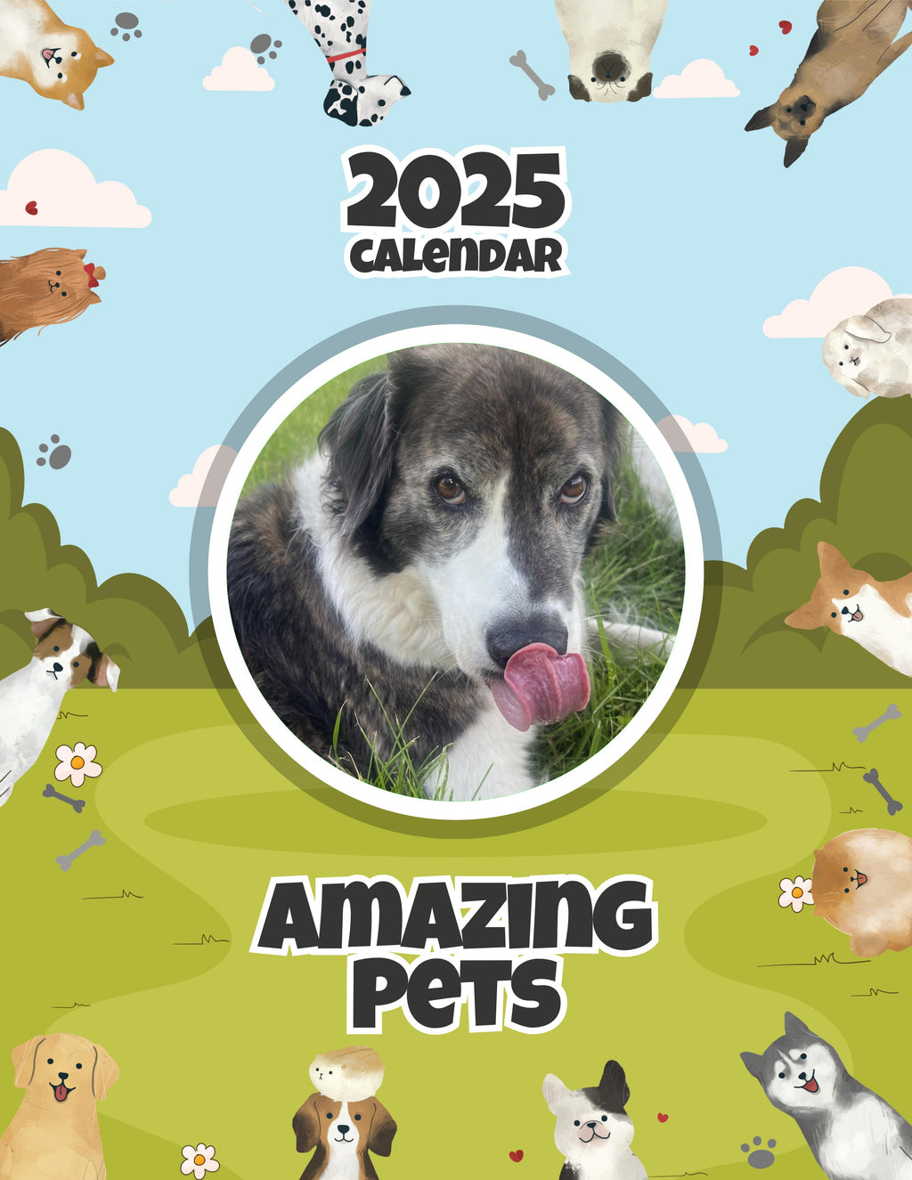 Amazing Pets: 2025 Wall Calendar (Pre-Order)