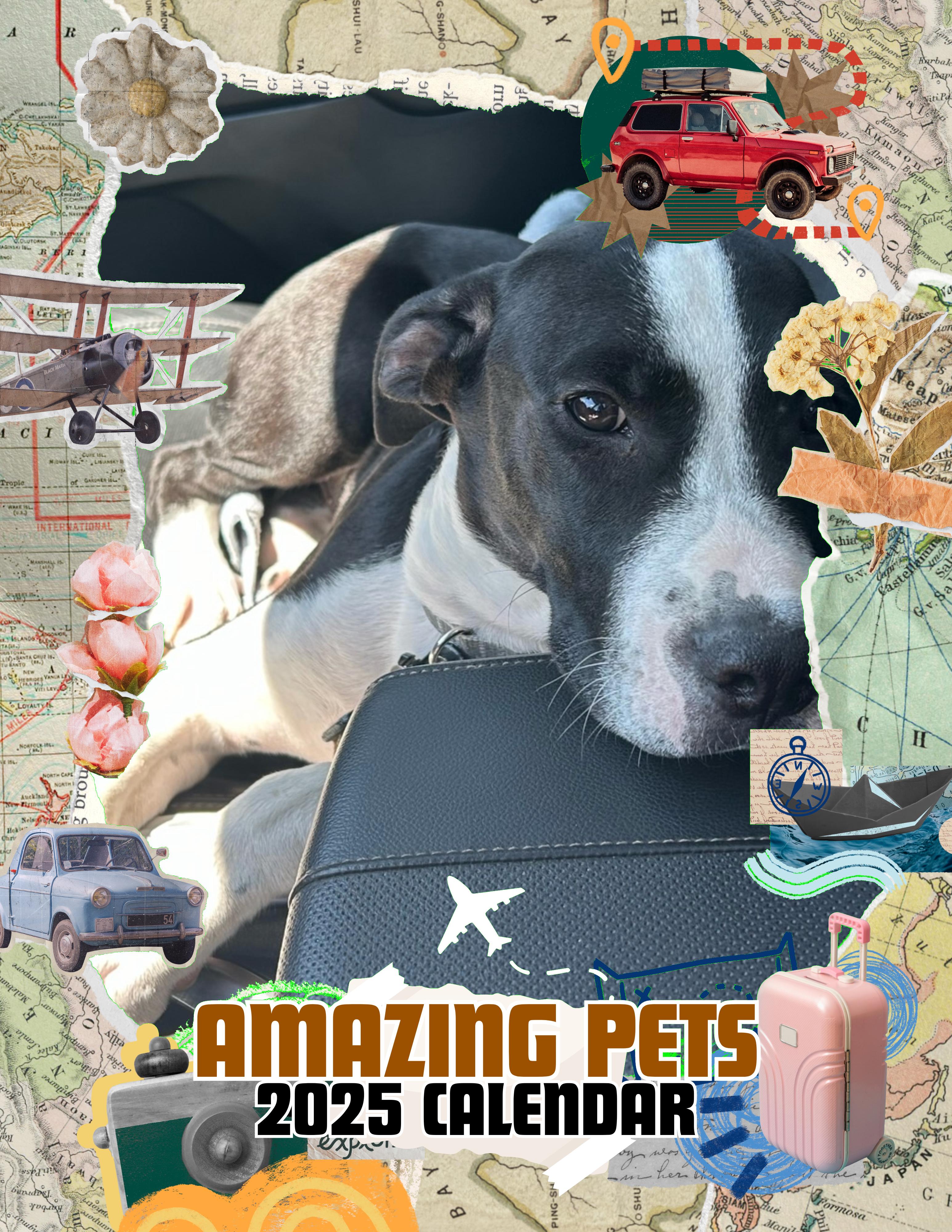 Amazing Pets: 2025 Wall Calendar (Pre-Order)