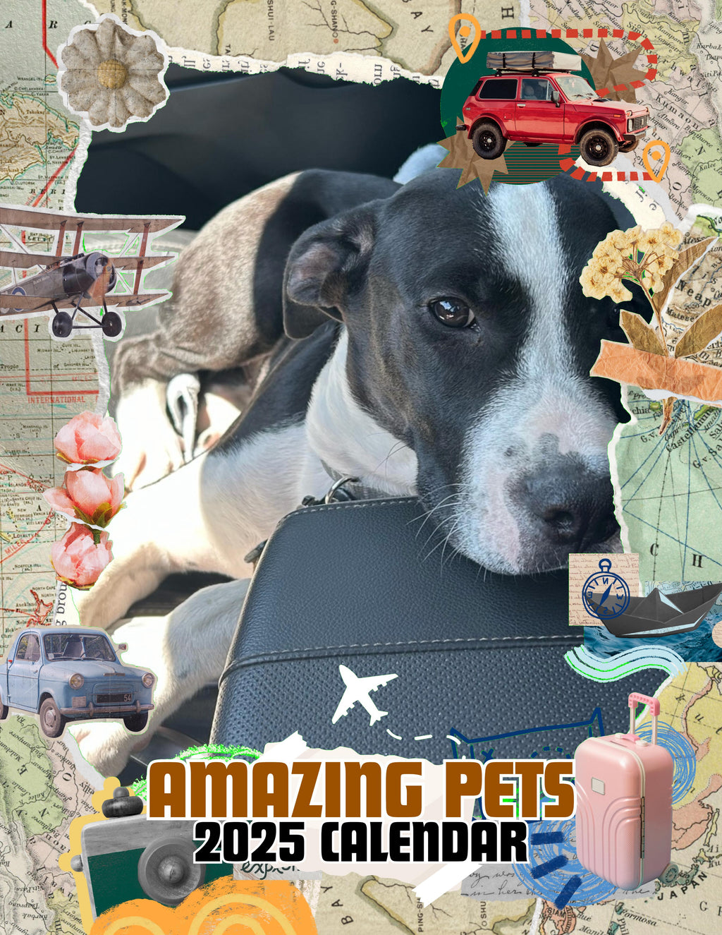 Amazing Pets: 2025 Wall Calendar (Pre-Order)