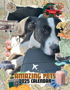 Amazing Pets: 2025 Wall Calendar (Pre-Order)