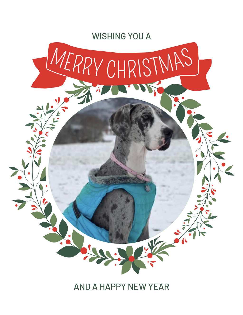 Great Dane Christmas Greeting Cards