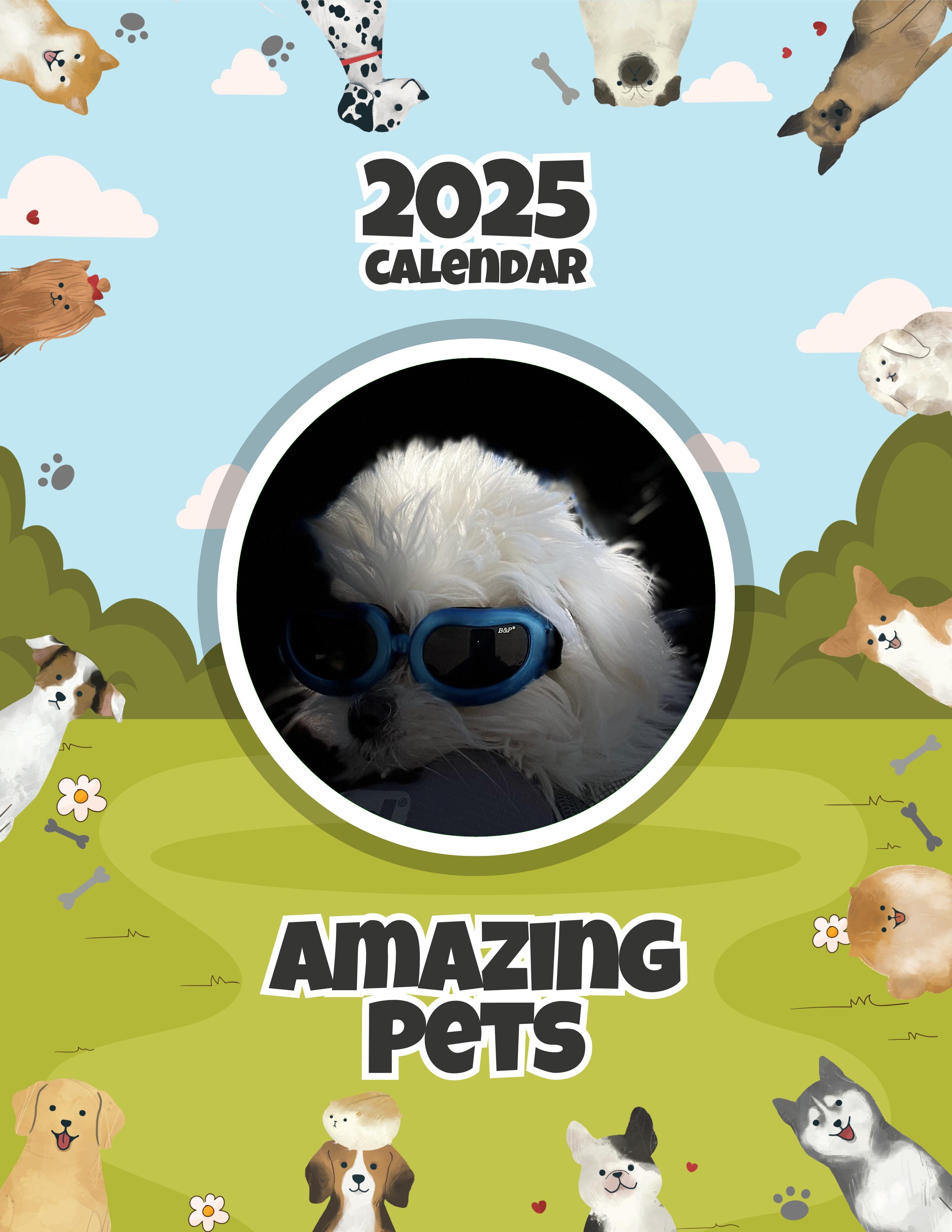 Amazing Pets: 2025 Wall Calendar (Pre-Order)