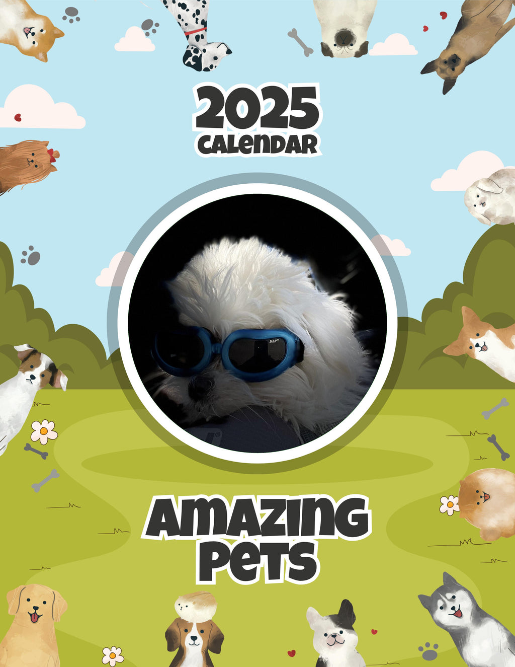 Amazing Pets: 2025 Wall Calendar (Pre-Order)