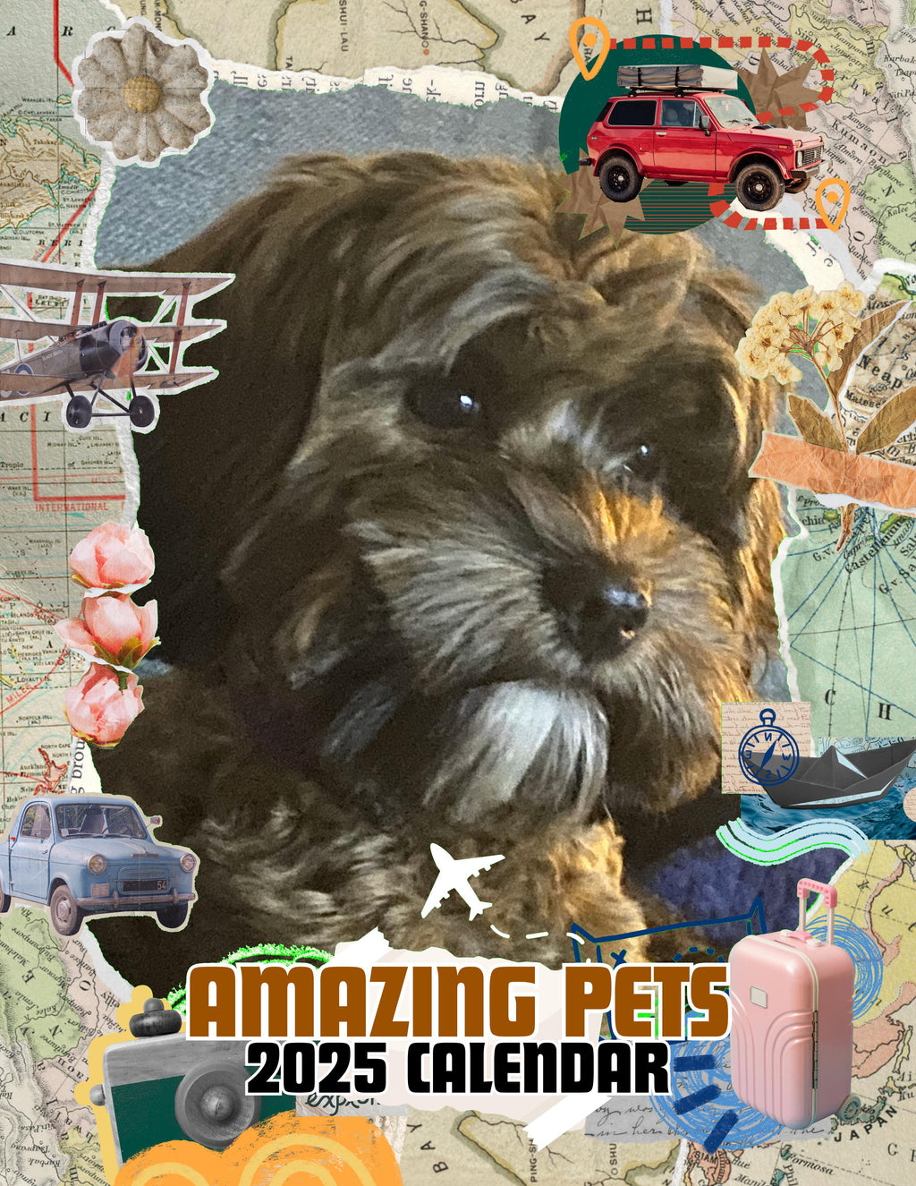 Amazing Pets: 2025 Wall Calendar (Pre-Order)