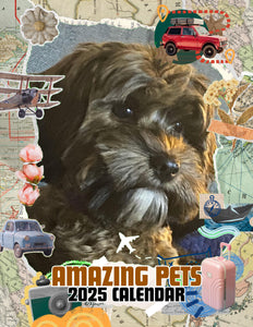 Amazing Pets: 2025 Wall Calendar (Pre-Order)