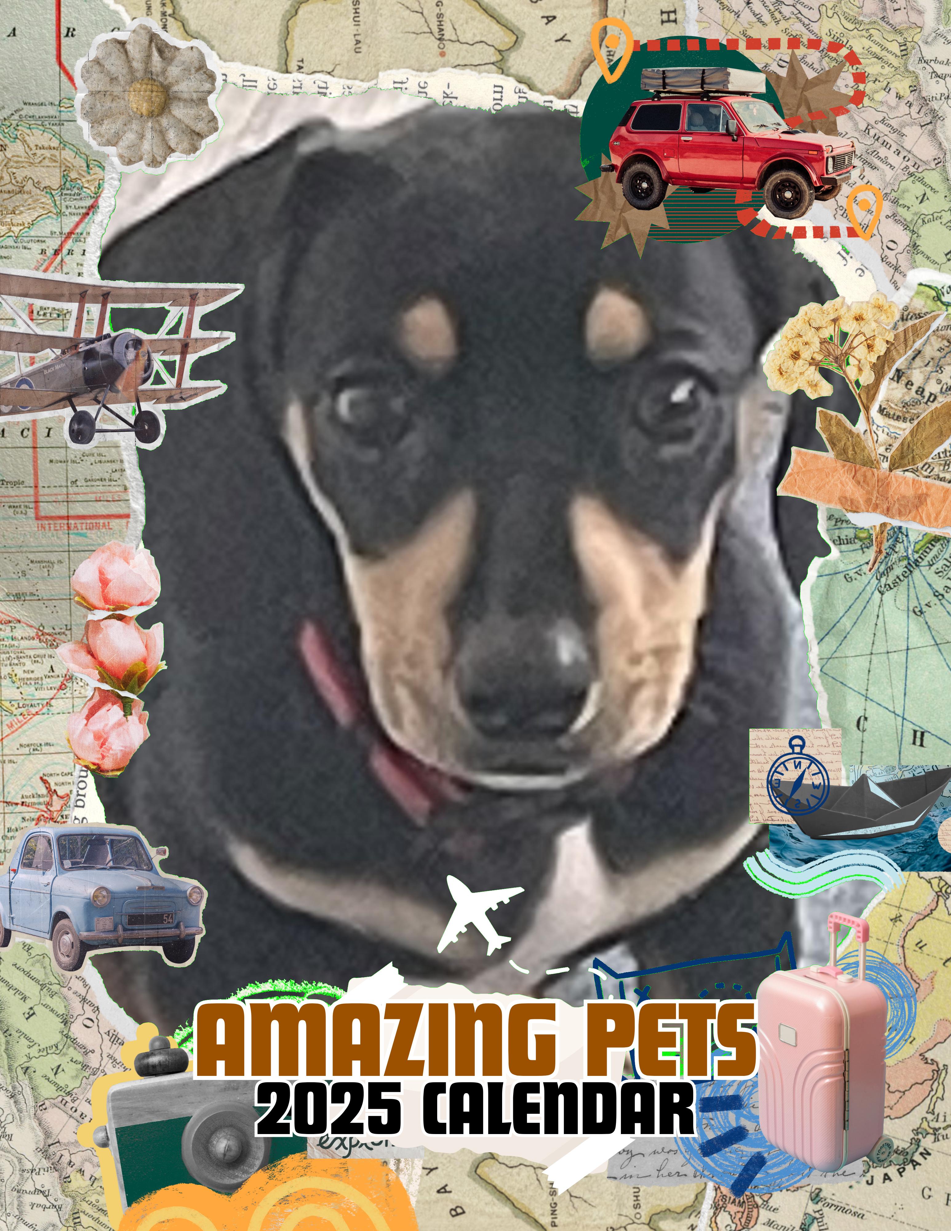 Amazing Pets: 2025 Wall Calendar (Pre-Order)