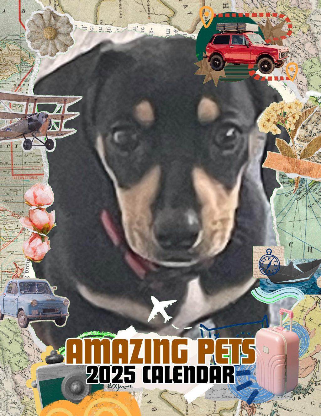 Amazing Pets: 2025 Wall Calendar (Pre-Order)