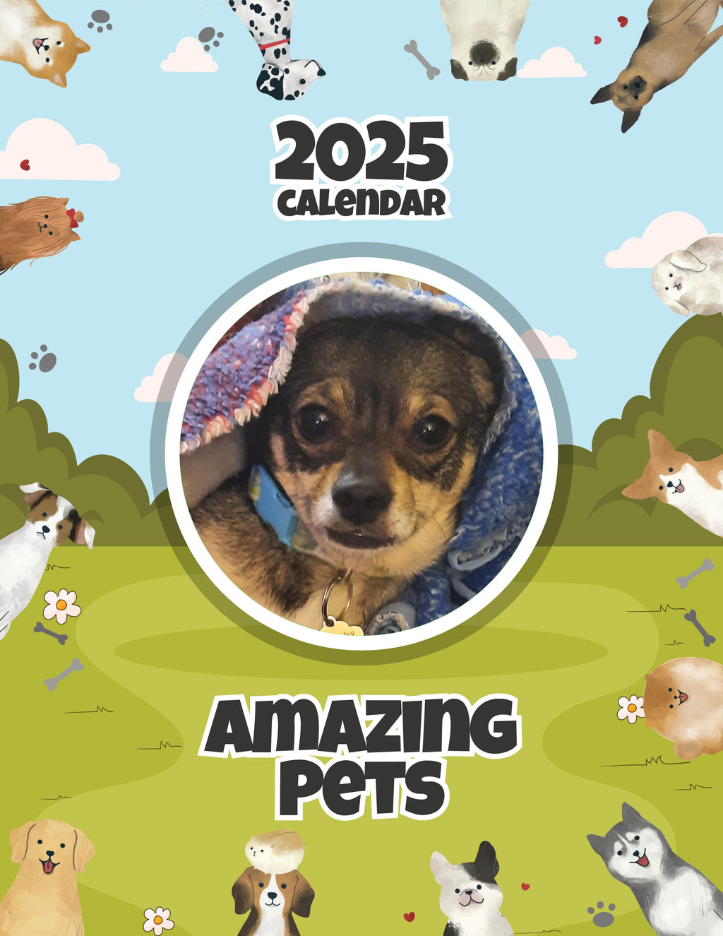 Amazing Pets: 2025 Wall Calendar (Pre-Order)